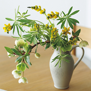 花の特長を生かして活け方を変えてみて！「黄色い花」のあしらい方3選