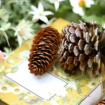 ５０代女性のホンネ：自分へのご褒美は…