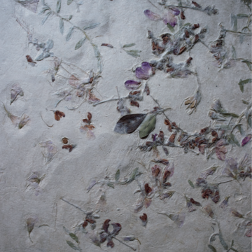 自然美をひたすら一枚の和紙に映し出して『能登仁行和紙』【「金沢・能登」 心ほどく大人旅】