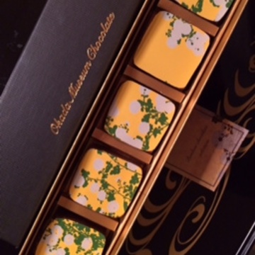 初めまして。エクラビューティーになりました。