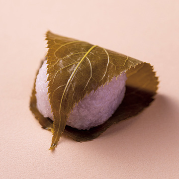 様々な表情で華やぐ、桜を愛でる“京の和菓子”【「京都」桜にまつわる10の愉しみ】