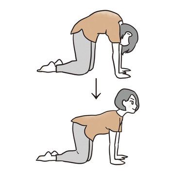 ねこ背解消、ストレッチ、ツボ押しの3つのメソッドでスッキリ胃を手に入れよう！