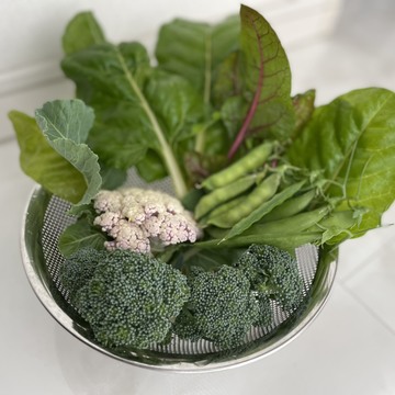 お野菜を育てて、お家時間を楽しんでいます！