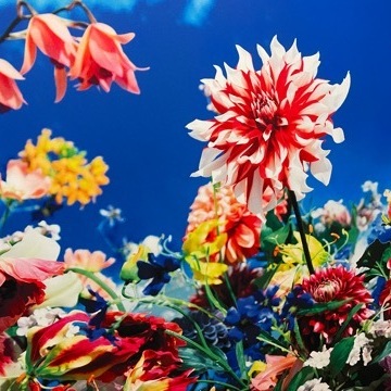 芸術鑑賞Dayで癒される