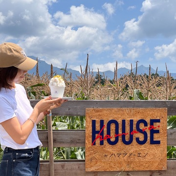 かぶりつけば至福！八ヶ岳生とうもろこし
