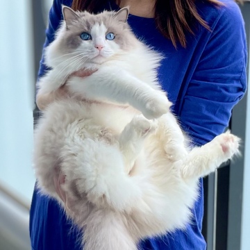 脱走⇨ママにあっさり捕獲