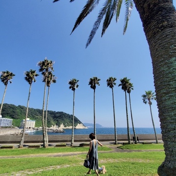 ワンコと一緒の夏休み