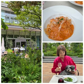 東京・青山「ののあおやま」で自然派イタリアンランチ