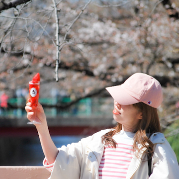 【さかぽんギャラリー】中目黒☆目黒川の桜