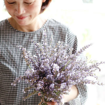 庭のラベンダーが咲きだしました～