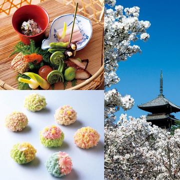 大人の京都特集  photo gallery