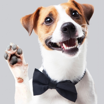 50代女性のホンネ：ホントは自慢したいこと