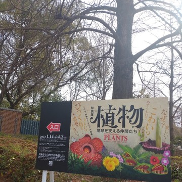 Let's 光合成！植物から学んだ、これからの人生