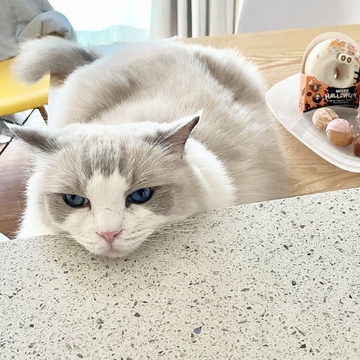 Happy Halloween❤︎