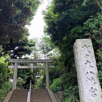 東京の人気パワースポット！代々木八幡宮から初めましてのご挨拶