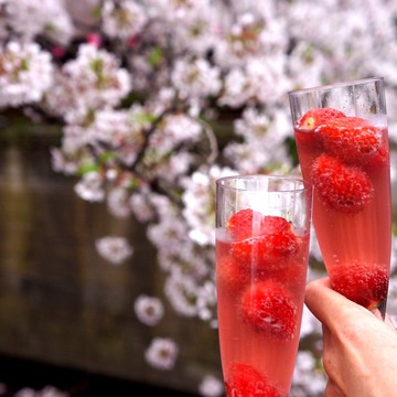 お花見と絶景こだわりランチ
