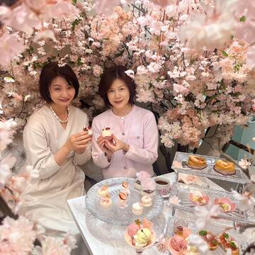 表参道散歩＊屋内でお花見オートクチュールカフェへ