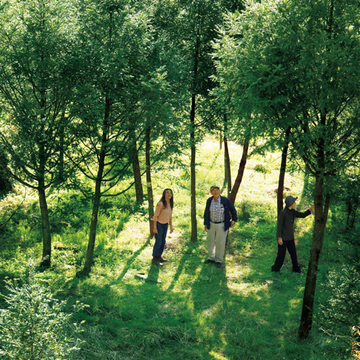 「榧の木のまな板」も販売する『榧工房 かやの森』【有元葉子、美味しいものは高知にあり】