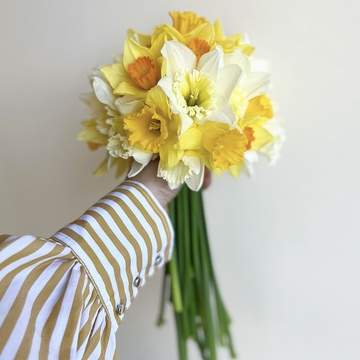 「黄色い花を飾るなら」