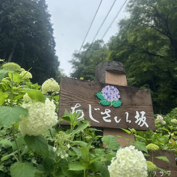 小江戸栃木市プチトリップ