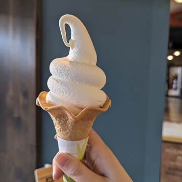 HOKKAIDO 道の駅あびらD51ステーションでロイシーコーンのソフトクリームを食べました♪