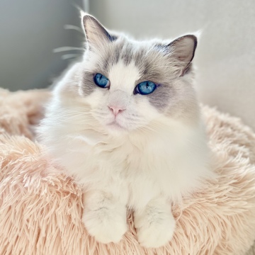 おはようございます