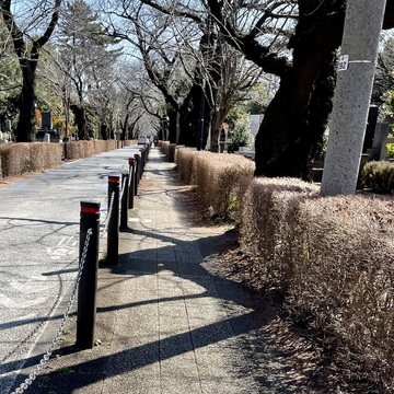 久しぶりに外のランニングをしてきました！