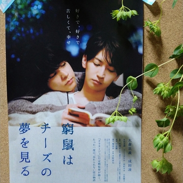 ✳映画部屋✳「窮鼠はチーズの夢を見る」