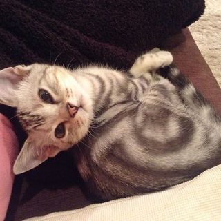 生後3か月のころのアラン