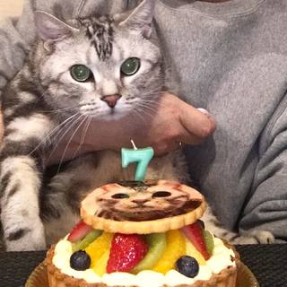 7歳の誕生日