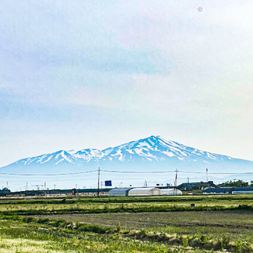 【さかぽんの冒険】カエルのオーケストラと田んぼの中の温泉💚