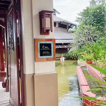 春節　台湾からセブ島へ③