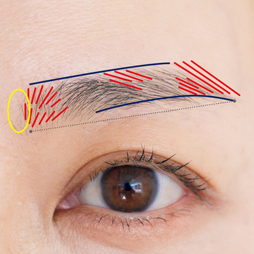 50歳からの眉で大事な「6つのポイント」を整えて、若さと優しさも取り戻す！