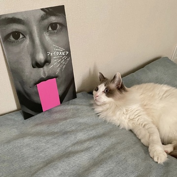 高橋一生さん主演『フェイクスピア』