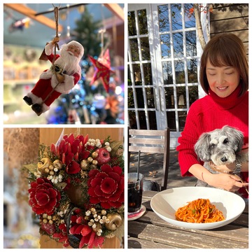 那須高原でこの時期行きたいクリスマススポット