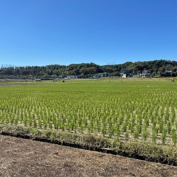 オンラインマラソンに参加です！