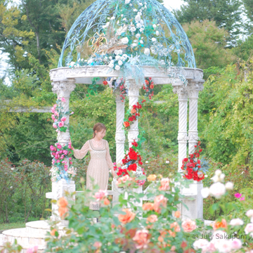 【さかぽんの冒険】秋バラの香りを探して♡@京成バラ園