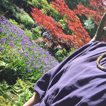 パープルのワンピースで根津美術館 燕子花図屏風展へ