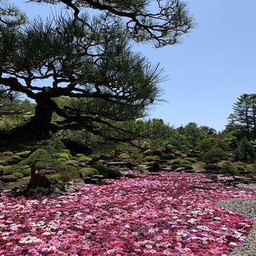 島根県「由志園」に行ってきました。