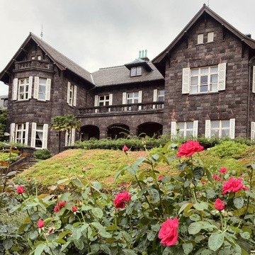 春バラの二番花が見頃の旧古河庭園