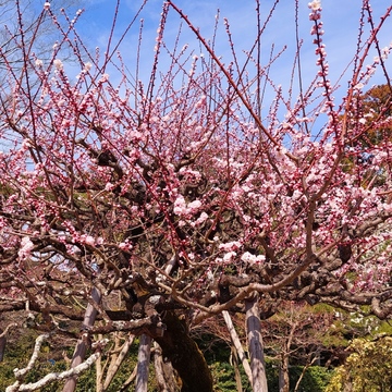 家族でお疲れ様旅行