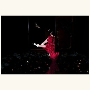 ファンタジックな物語の世界に。写真家・安珠さんの写真展が開催！