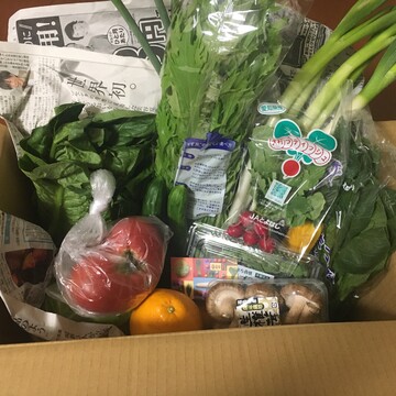 規格外野菜を試してみました