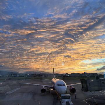 【羽田ー福岡】福岡空港