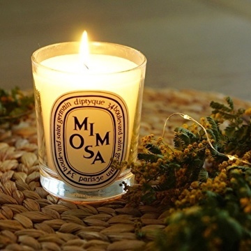 春の訪れを告げるミモザ♡シーンに合わせた楽しみ方