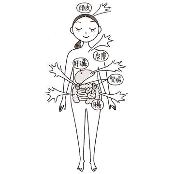 アラフィー世代は「排出力」が低下している！強化するべき4つの排出力とは？【排出力強化レッスン】