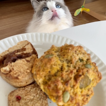おかしと喫茶のお店「トロッコ」