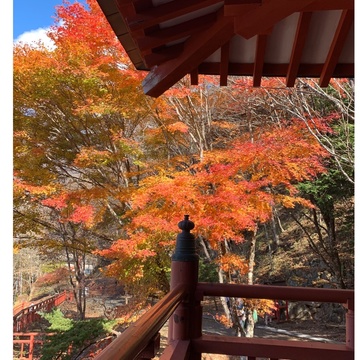 日光の紅葉スポットへ