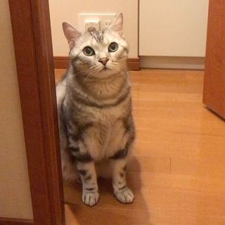 アランはママのストーカー？