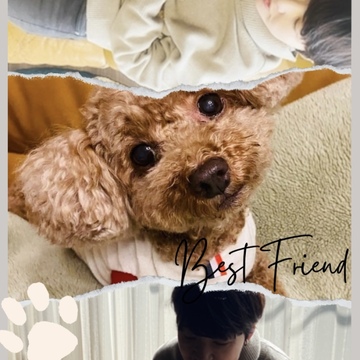 "You know My Name", , , James Bond ではなく Chid！